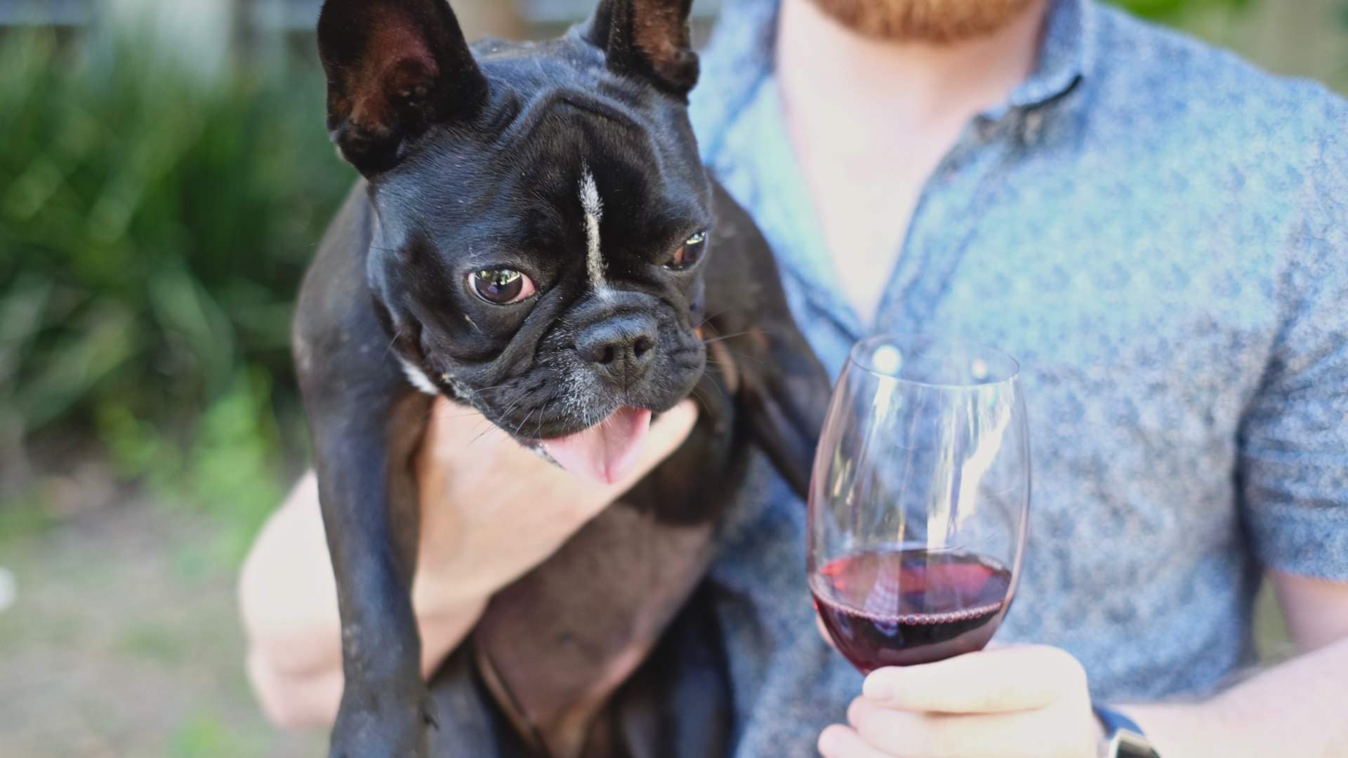 Puppies & Pinot