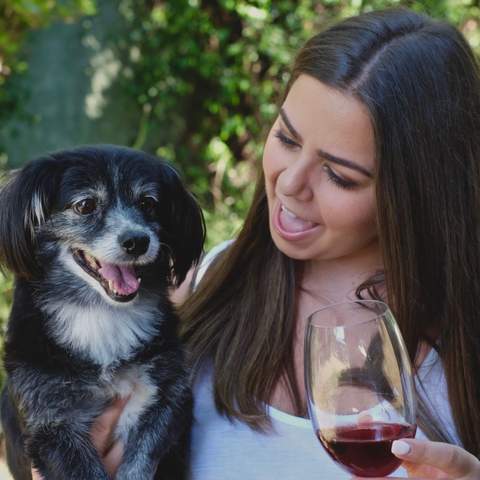 Puppies & Pinot