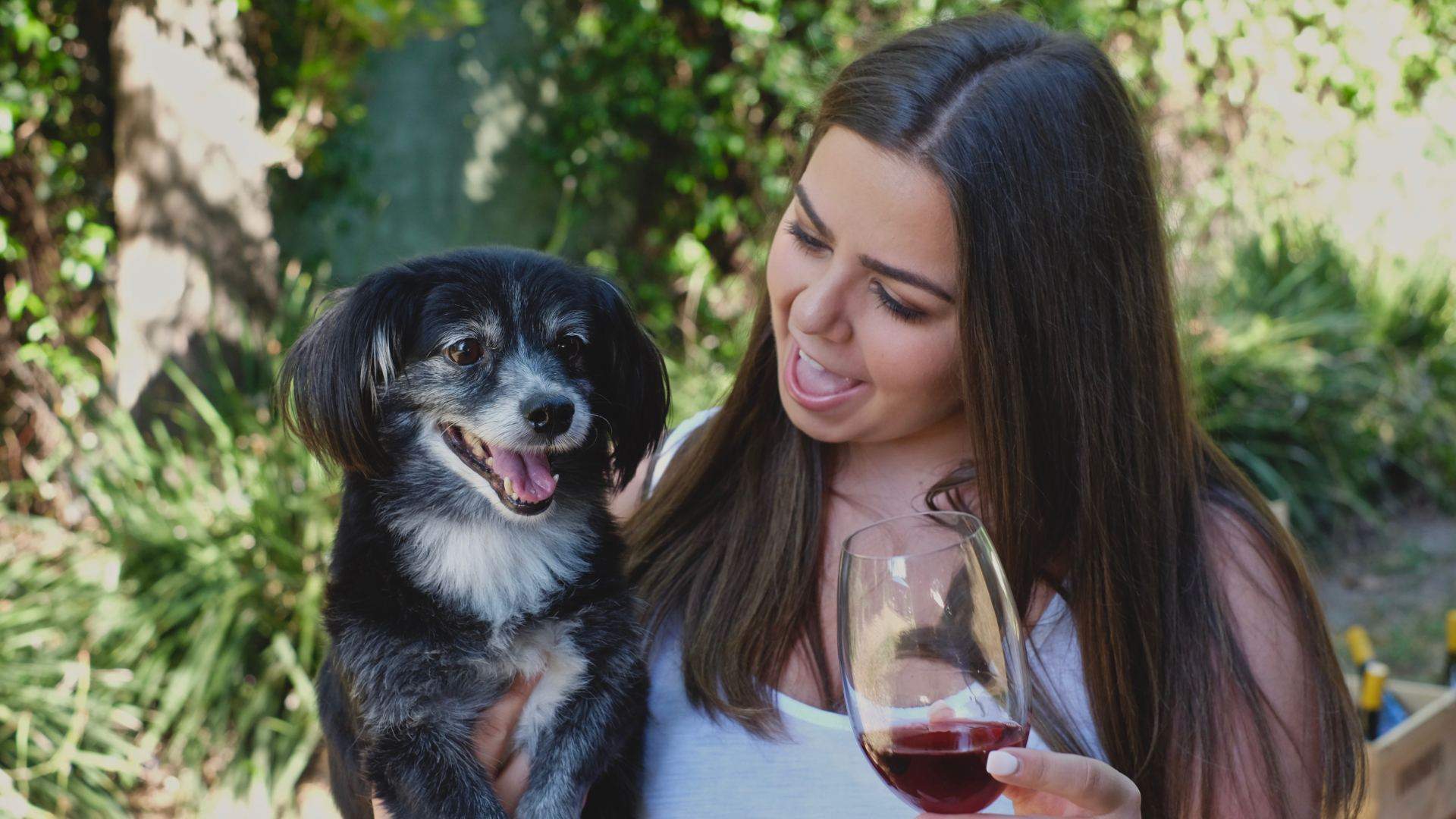 Puppies & Pinot