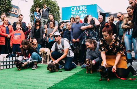 Barkly Barks Dog Festival 2019