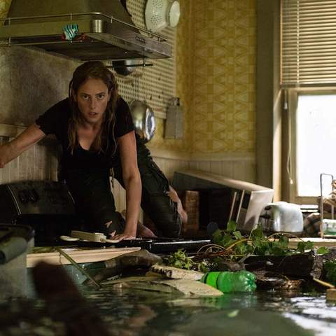 Check Out the Trailer for 'Crawl', the New Killer Alligator Movie Snapping Its Way Into Cinemas