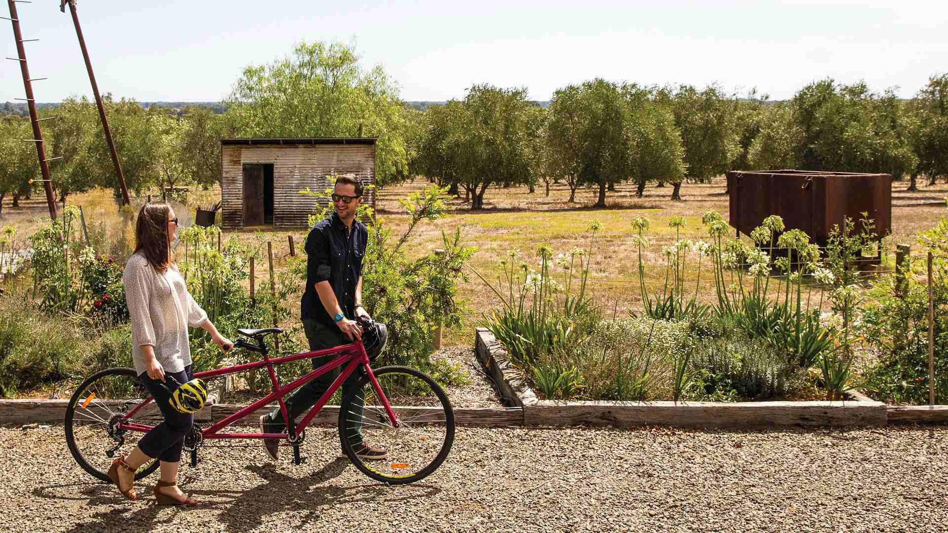 Cycle between top vineyards and restaurants on the <a href="https://www.visitvictoria.com/regions/high-country/things-to-do/outdoor-activities/cycling/vv-milawa-gourmet-ride">Milawa Gourmet Ride</a>
