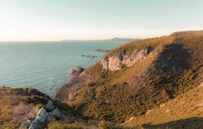 Background image for Five Ways to Make Your Winter Trip to Tasmania the Best One Yet