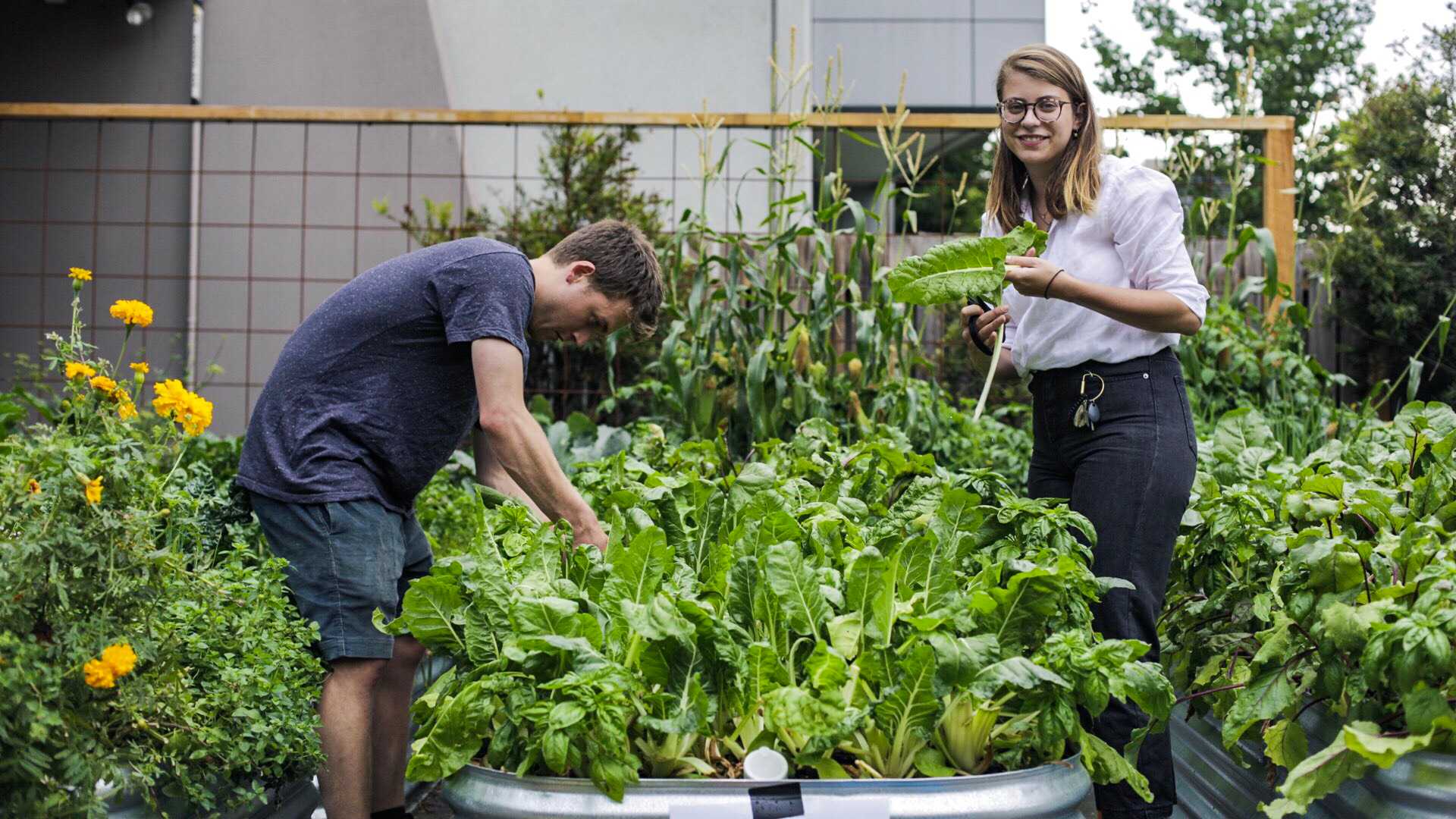 Melbourne Is Getting a 2000-Square-Metre Rooftop Farm and Cafe on Top of a City Car Park