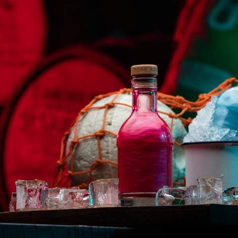 The Royal Botanic Garden Sydney's Vivid Pop-Up Bar