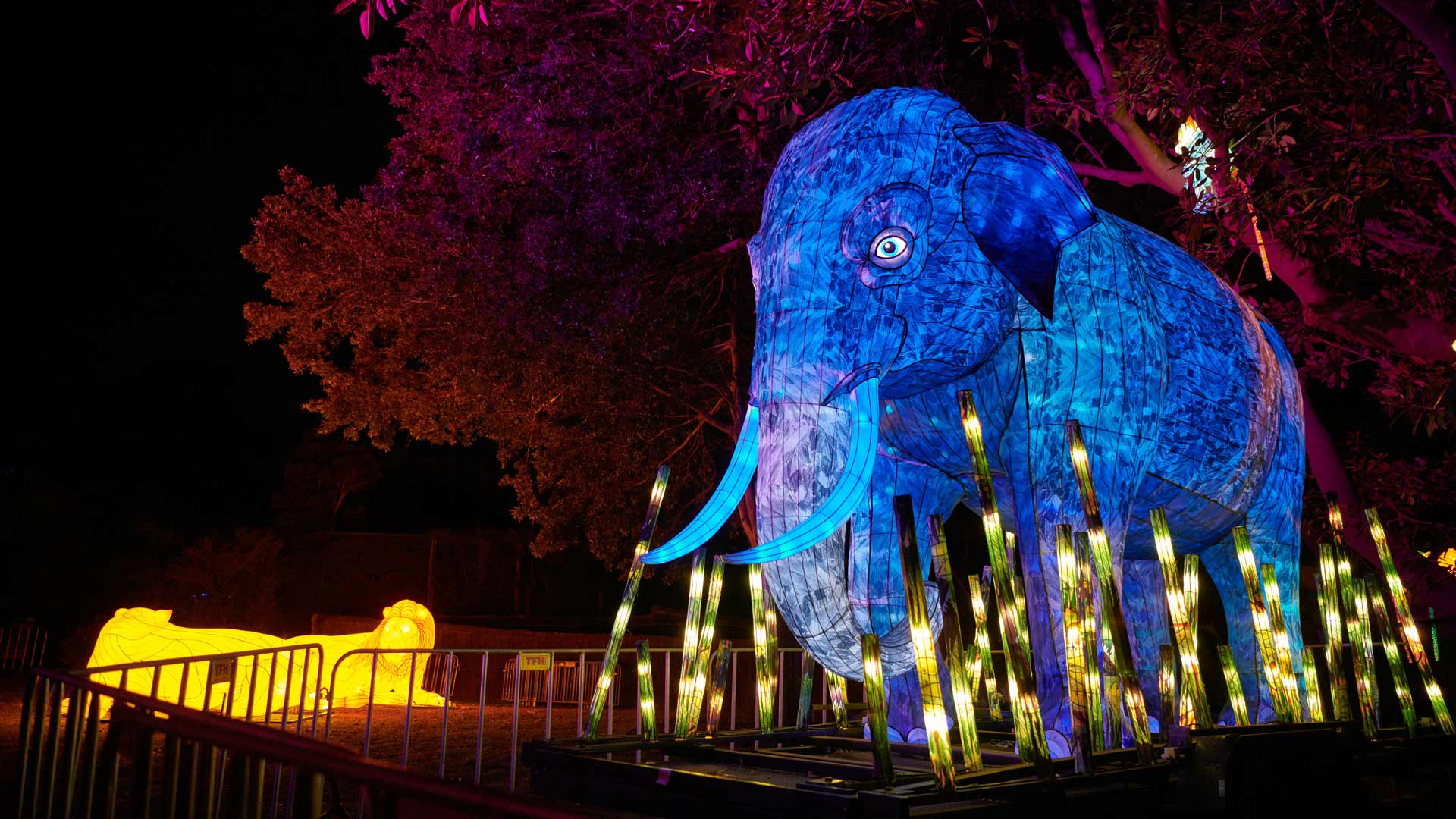 Sydney's Taronga Zoo Has Once Again Been Spectacularly Illuminated for Vivid