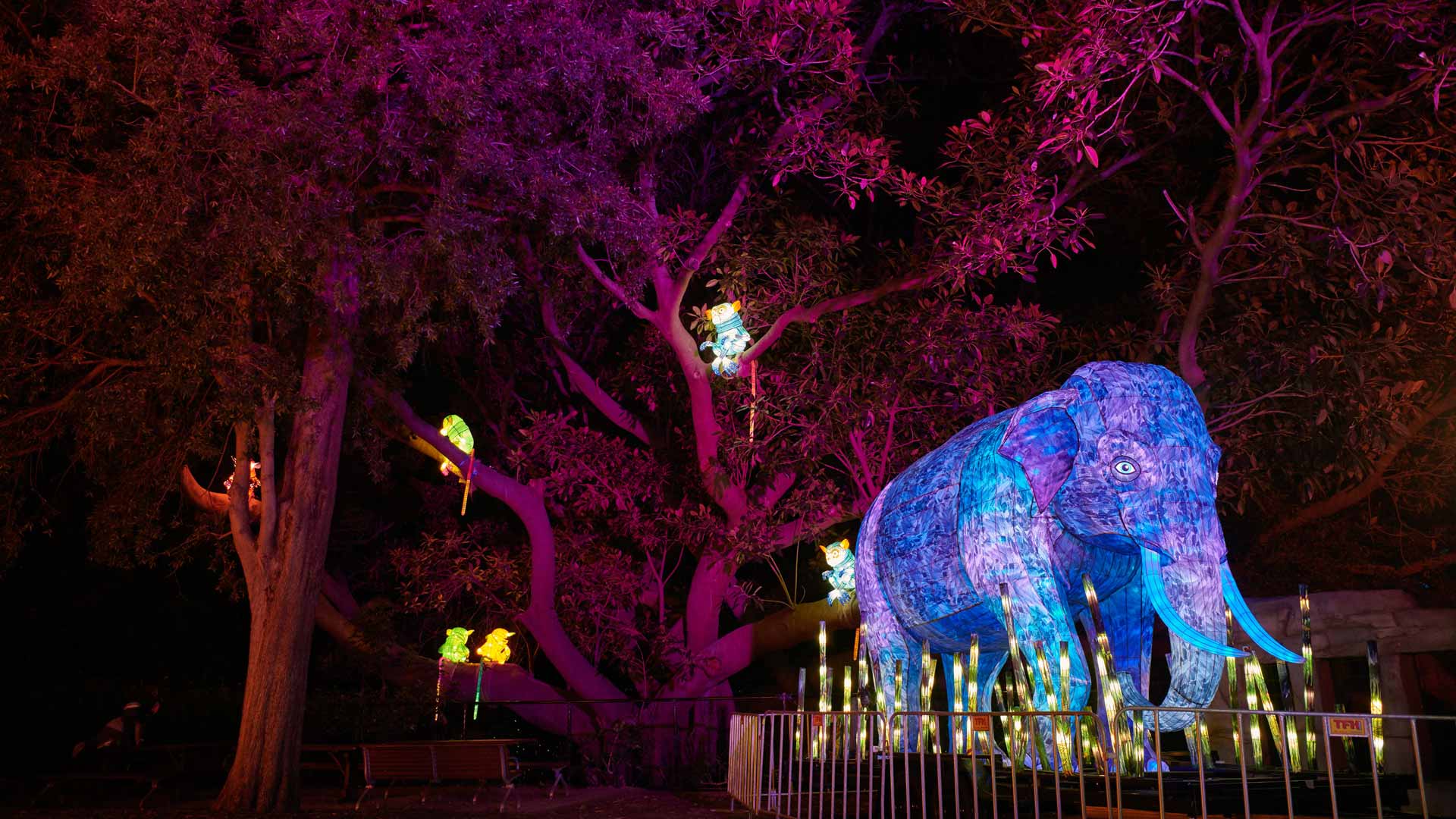 Sydney's Taronga Zoo Has Once Again Been Spectacularly Illuminated for Vivid