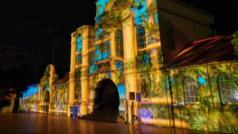 Sydney's Taronga Zoo Has Once Again Been Spectacularly Illuminated for Vivid