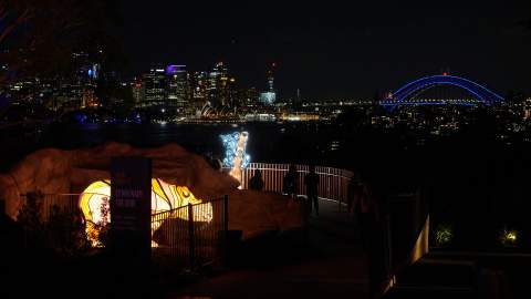 Sydney's Taronga Zoo Has Once Again Been Spectacularly Illuminated for Vivid