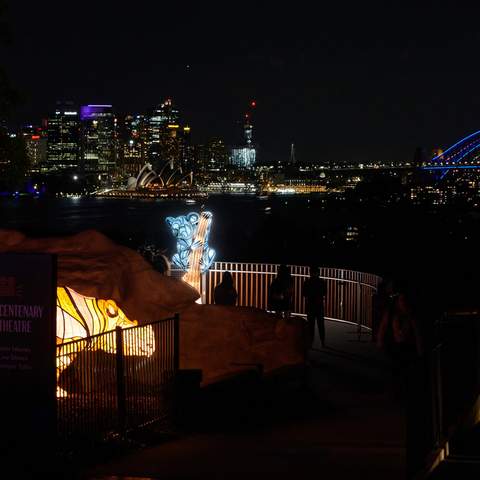 Sydney's Taronga Zoo Has Once Again Been Spectacularly Illuminated for Vivid