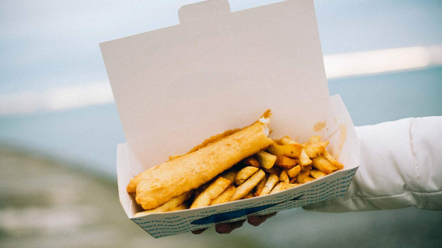 Fency Fish Inner Fancy Fish Flinders View, Flinders View Review