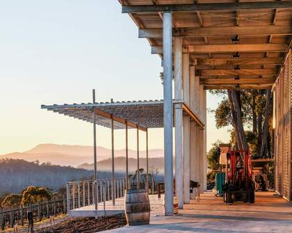 Five Must-Hit Wineries That'll Make You Never Want to Leave Tasmania