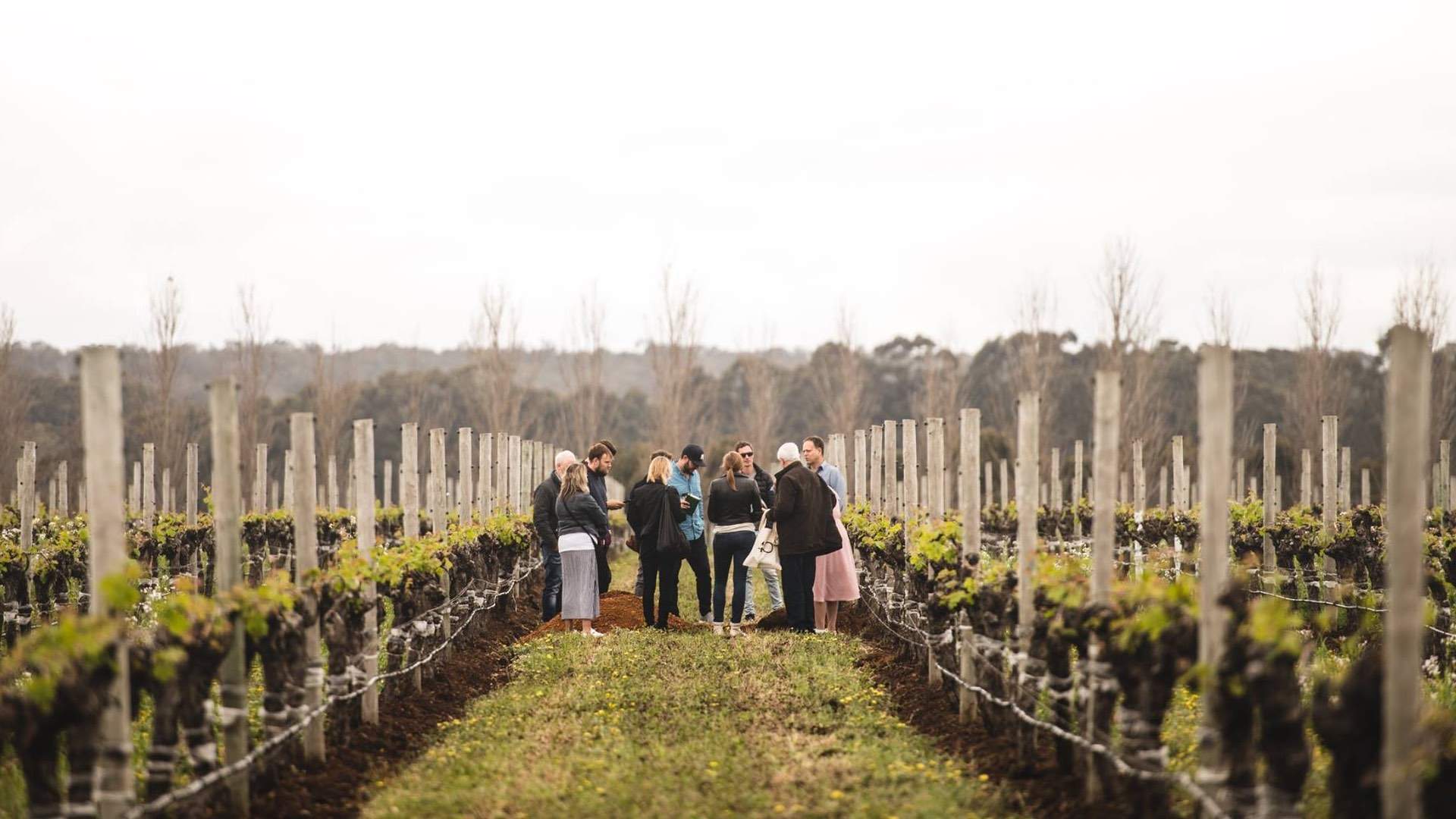 An Essential Guide to Margaret River's Must-Visit Wineries