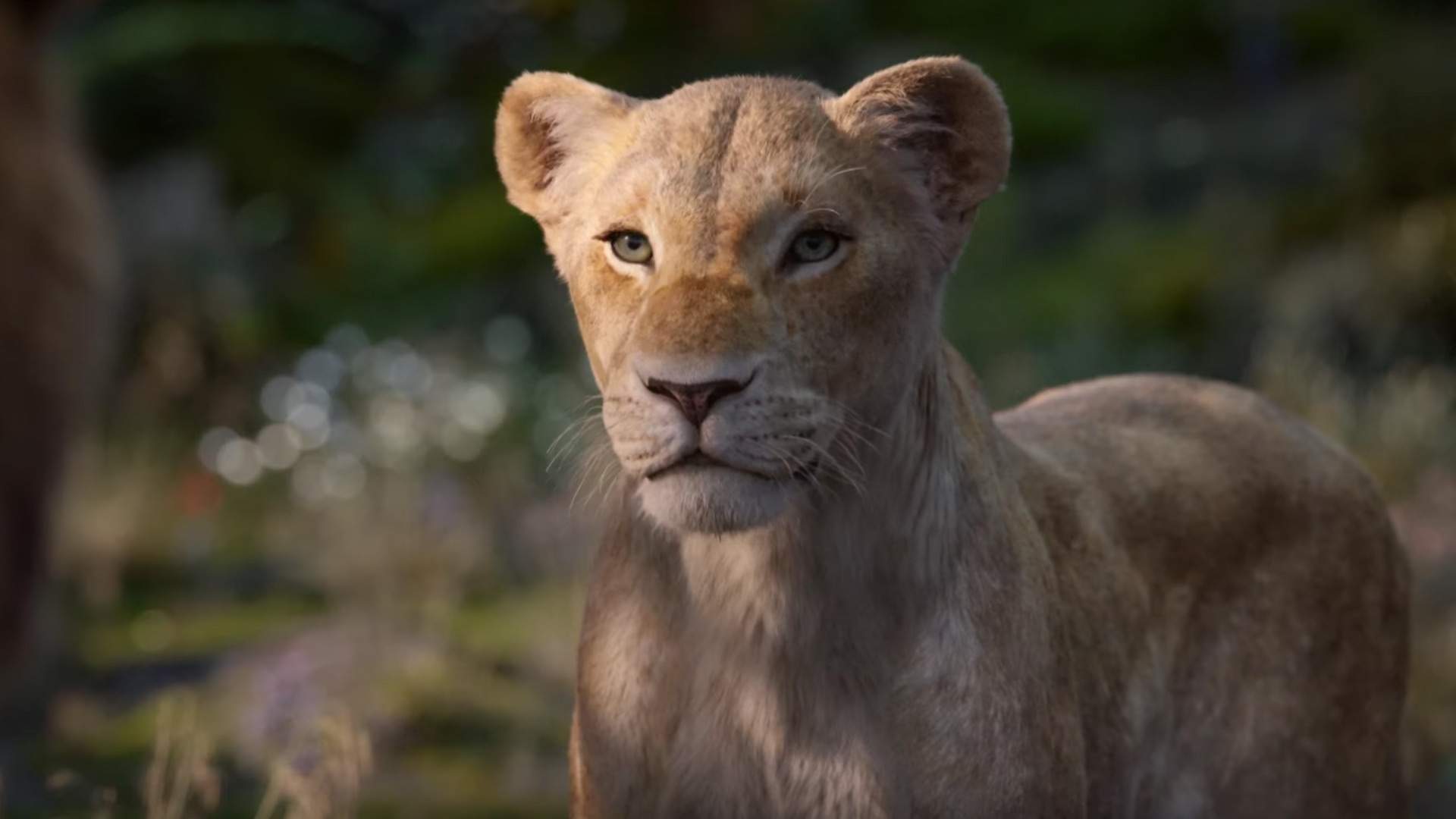 You Can Finally Hear Beyoncé as Nala in the New Teaser for the Live-Action 'Lion King'