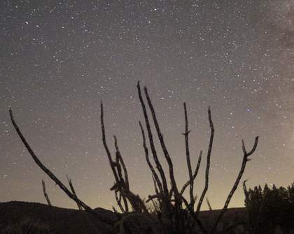 Do Look Up, Again: Three Meteor Showers Will Be Visible in Australia's Skies This Week