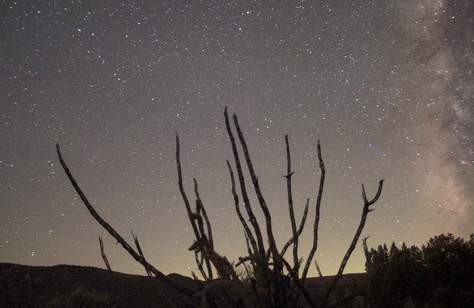 Do Look Up, Again: Three Meteor Showers Will Be Visible in Australia's Skies This Week