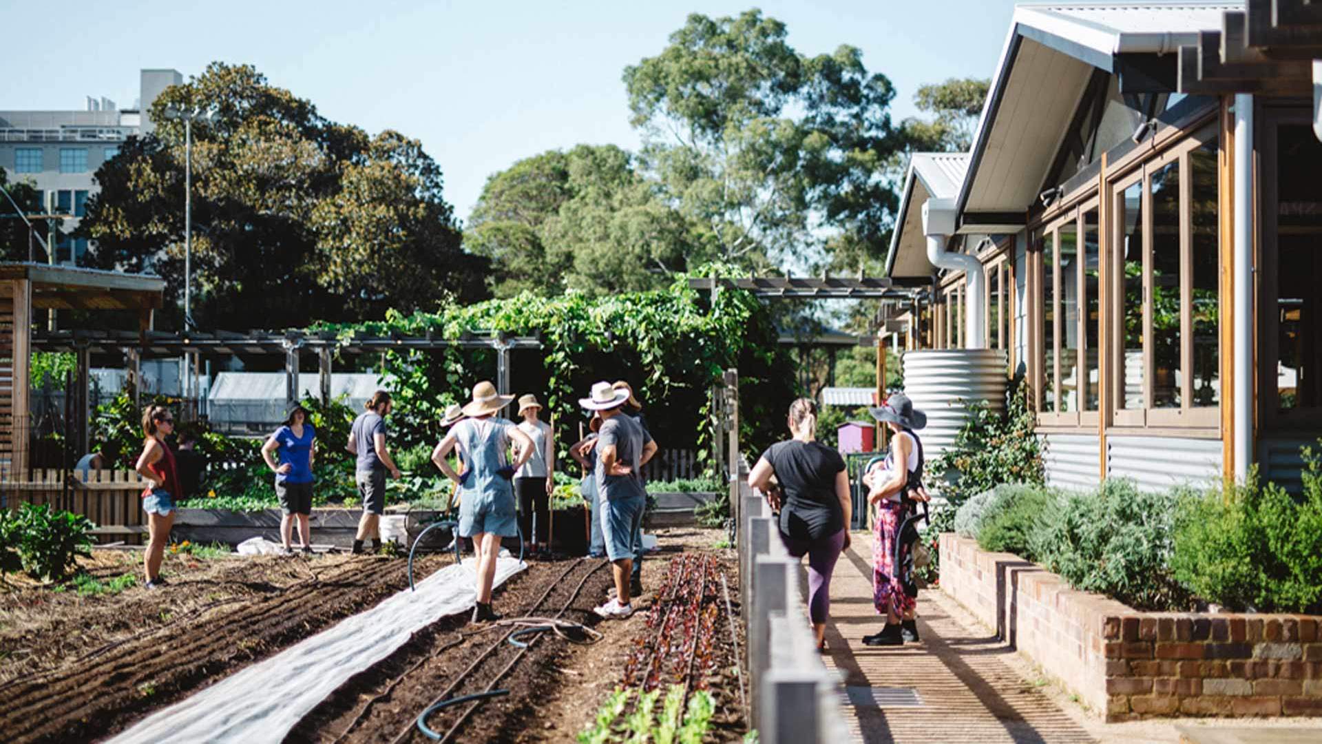Winter Solstice Farm Open Day, Sydney