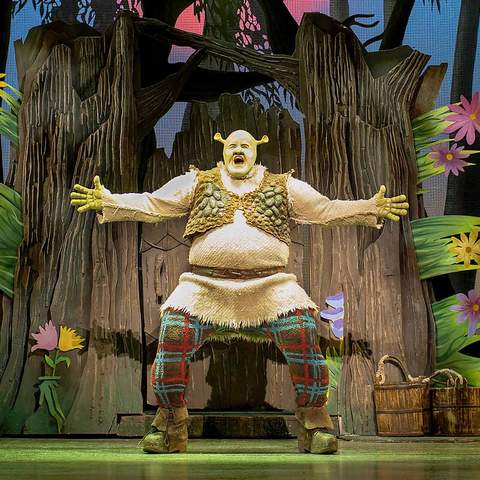 Broadway Hit 'Shrek the Musical' Is Bringing Its Green-Hued Nostalgia to Australia