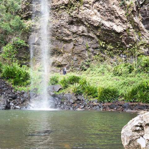 TWIN FALLS, SPRINGBROOK NATIONAL PARK - best waterfall Brisbane, Queensland