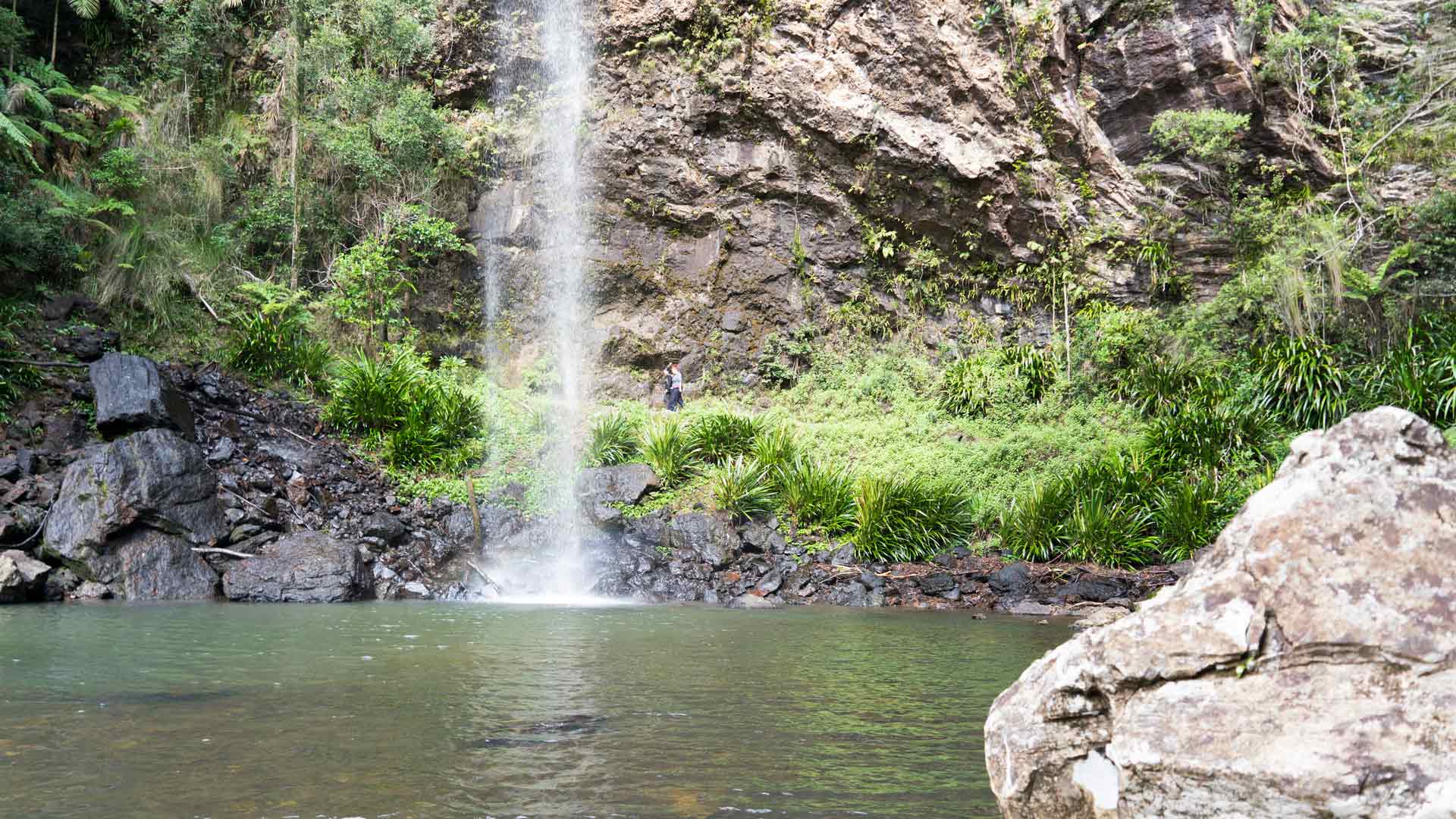 TWIN FALLS, SPRINGBROOK NATIONAL PARK - best waterfall Brisbane, Queensland