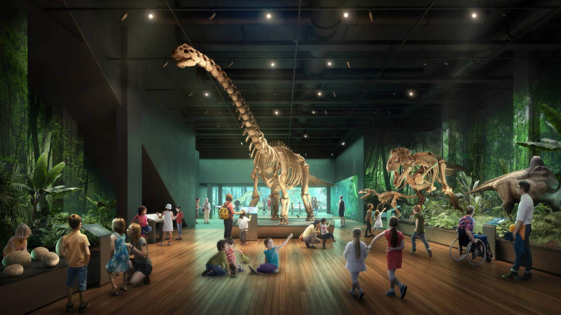 The Australian Museum Is Set to Close for a $57.5 Million Revamp