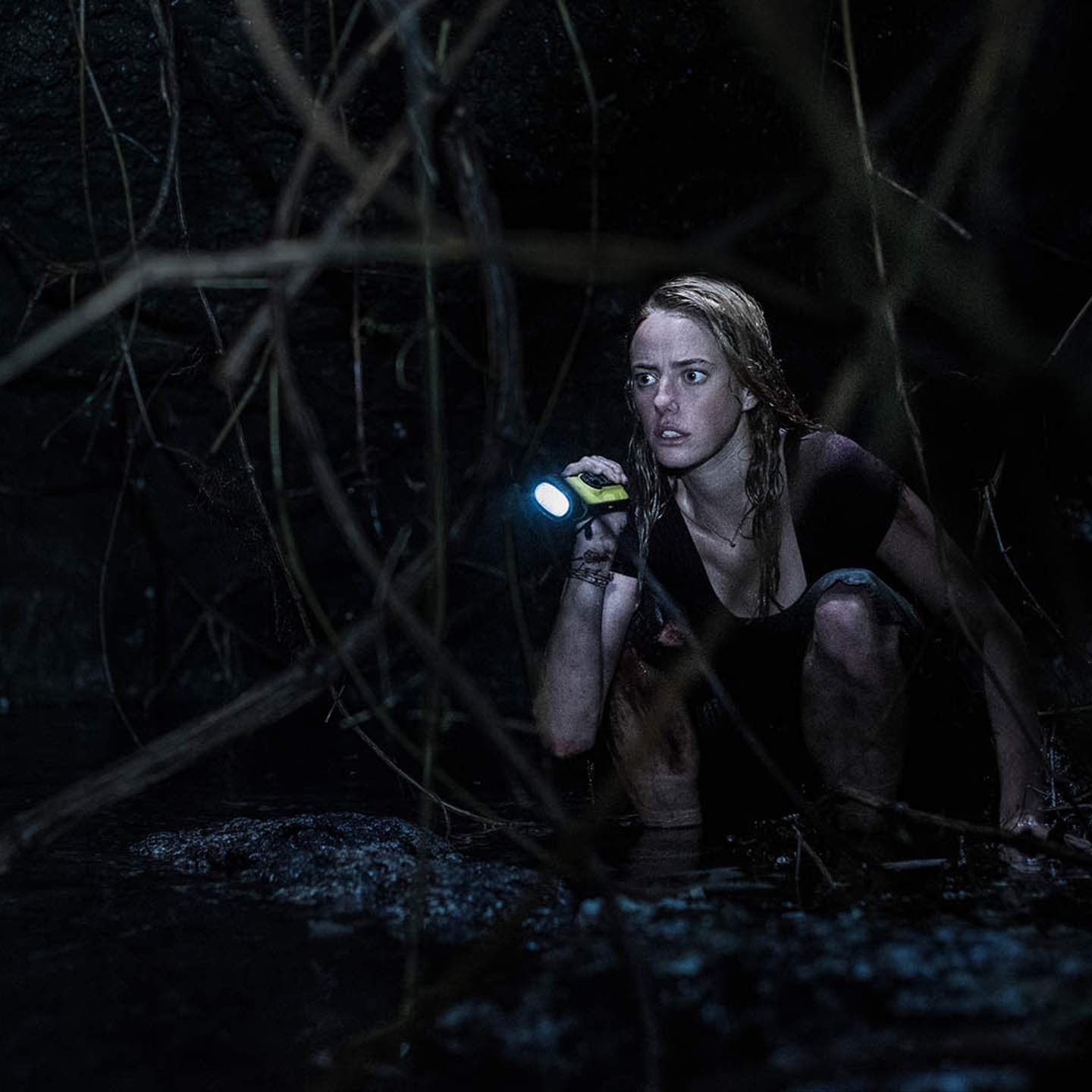 Horror Thriller Crawl Movie 2019 Full Movie Crawl Movie: Where To