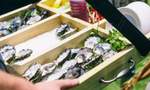 The Oyster and Seafood Festival 2022