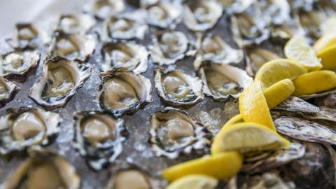 Sydney Oyster Week 2019