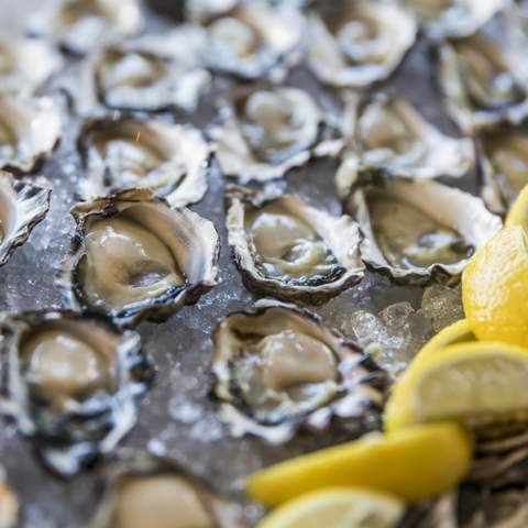 Sydney Oyster Week 2019