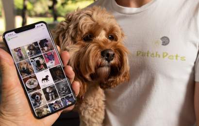 Background image for PatchPets Is the New Tinder-Style App That'll Help Your Dog Make Four-Legged Friends