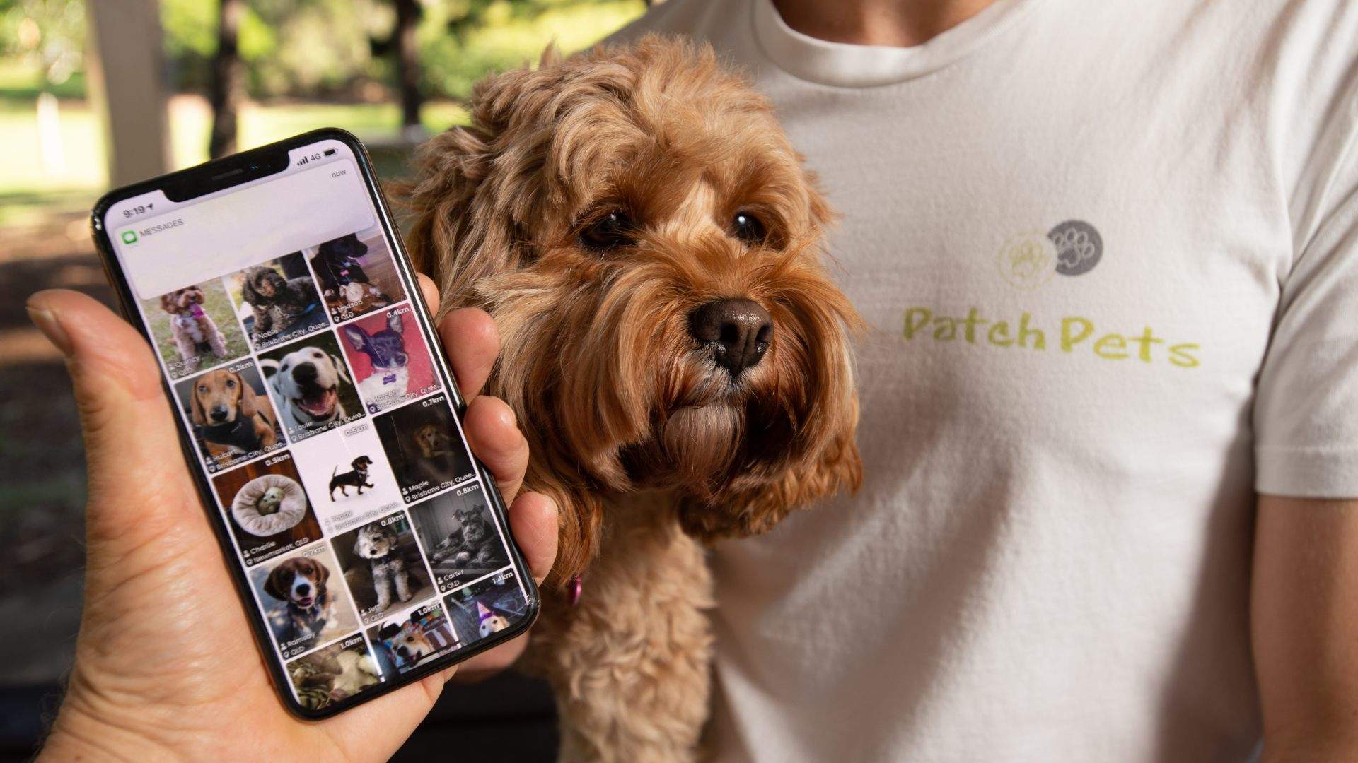 PatchPets Is the New Tinder-Style App That'll Help Your Dog Make Four-Legged Friends