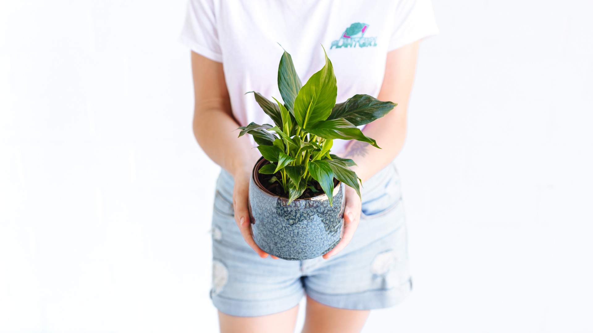 Plant Girl Is the New Same-Day Service Delivering Colourfully Potted Greenery Across Sydney