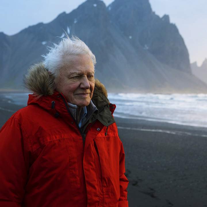 Check Out the Scenic Trailer for David Attenborough's New 'Seven Worlds ...