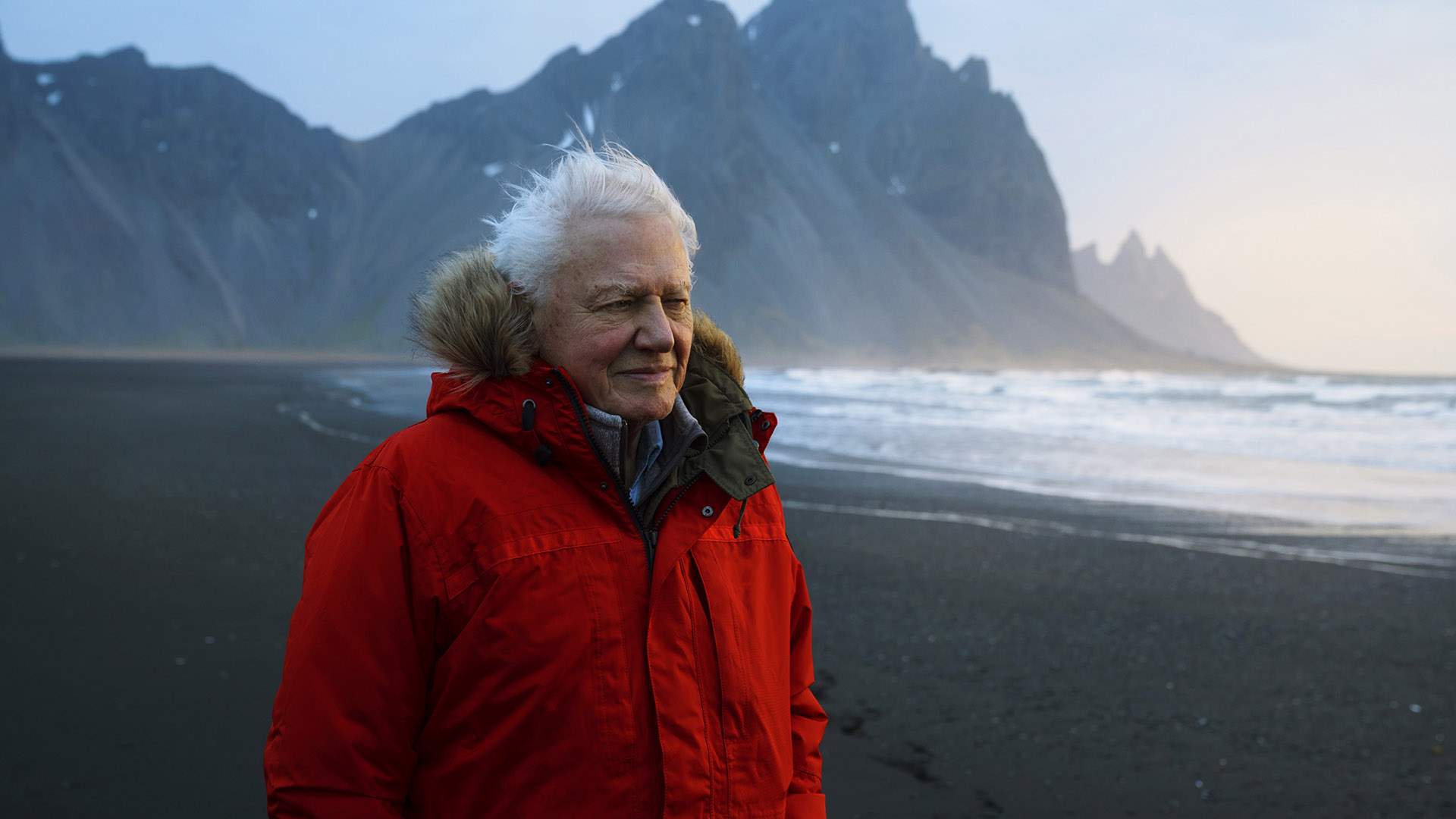 Check Out the Scenic Trailer for David Attenborough's New 'Seven Worlds, One Planet' Series