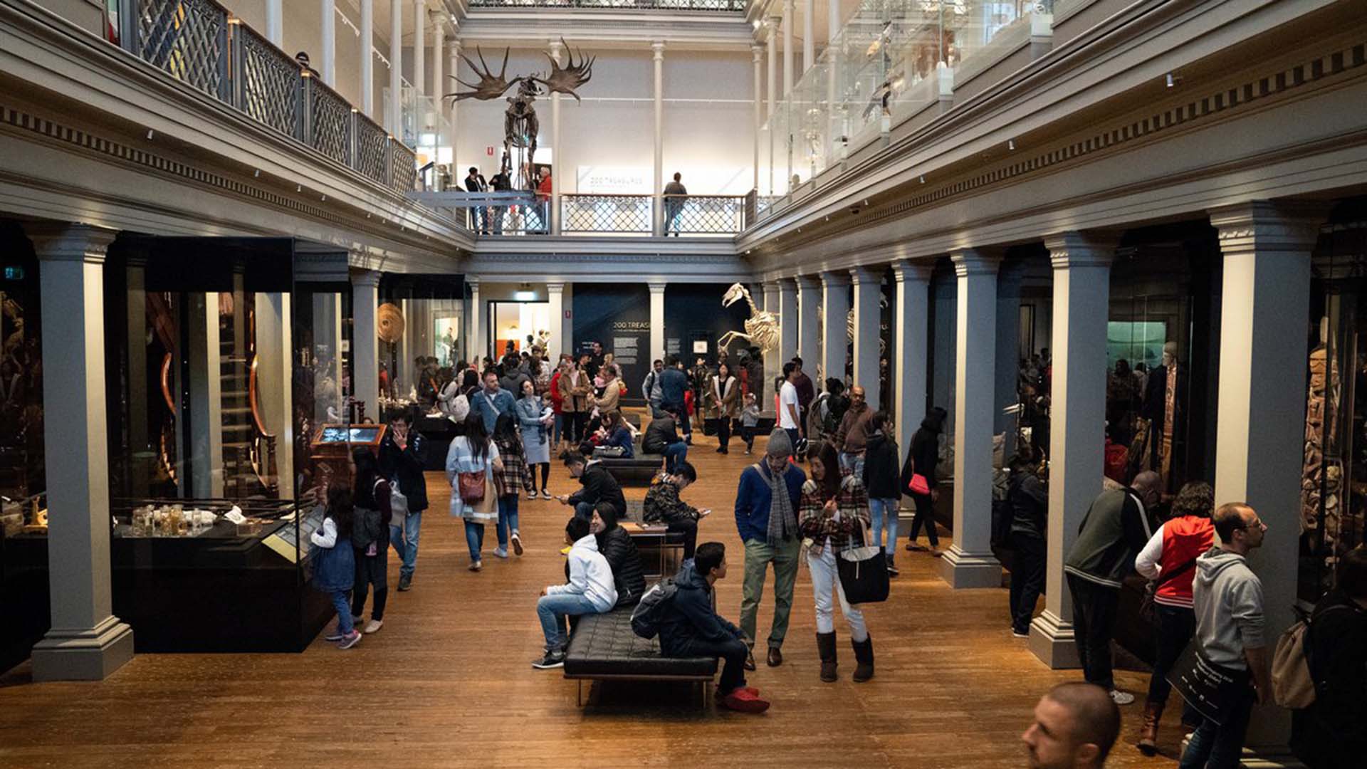 Free Weekend at the Australian Museum and Powerhouse Museum