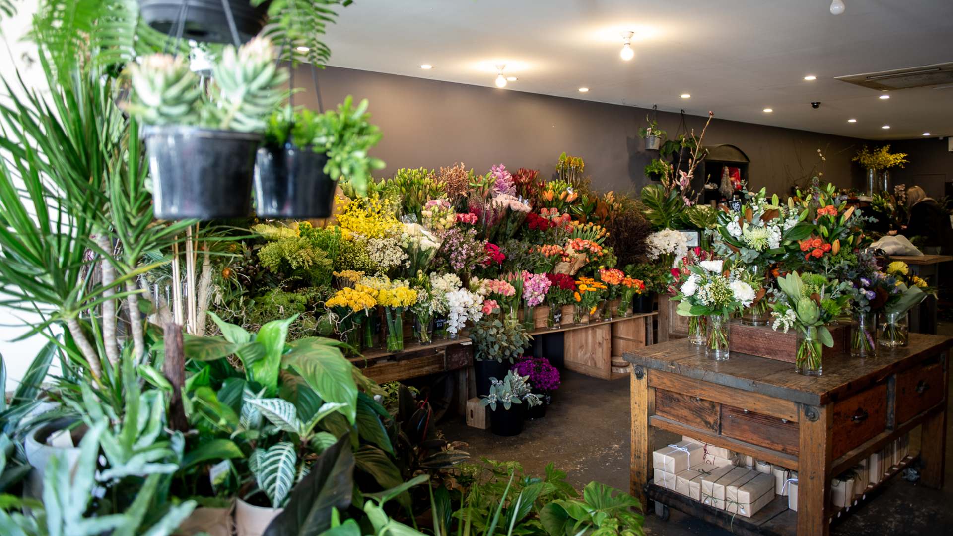 Where to Shop Like a Local In and Around Elwood