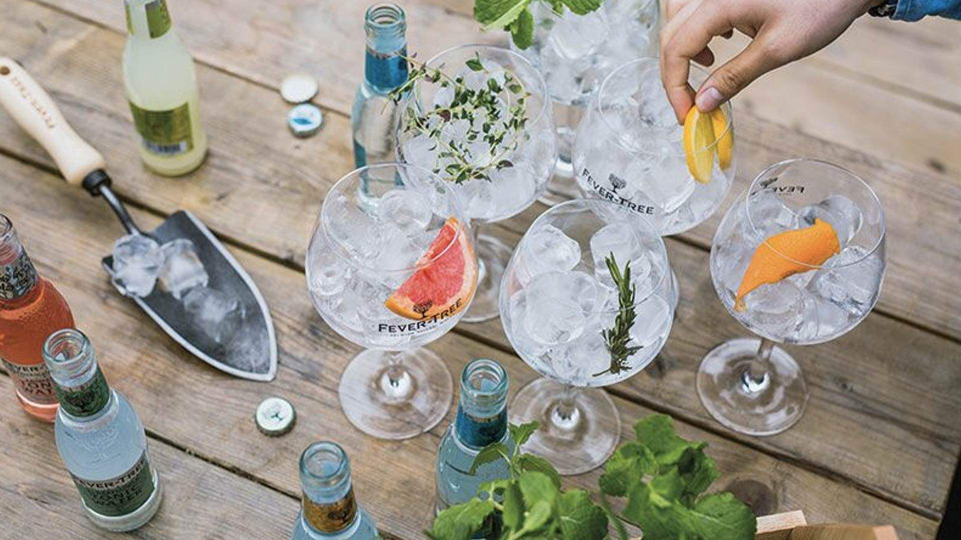 Fever-Tree Gin & Tonic Festival