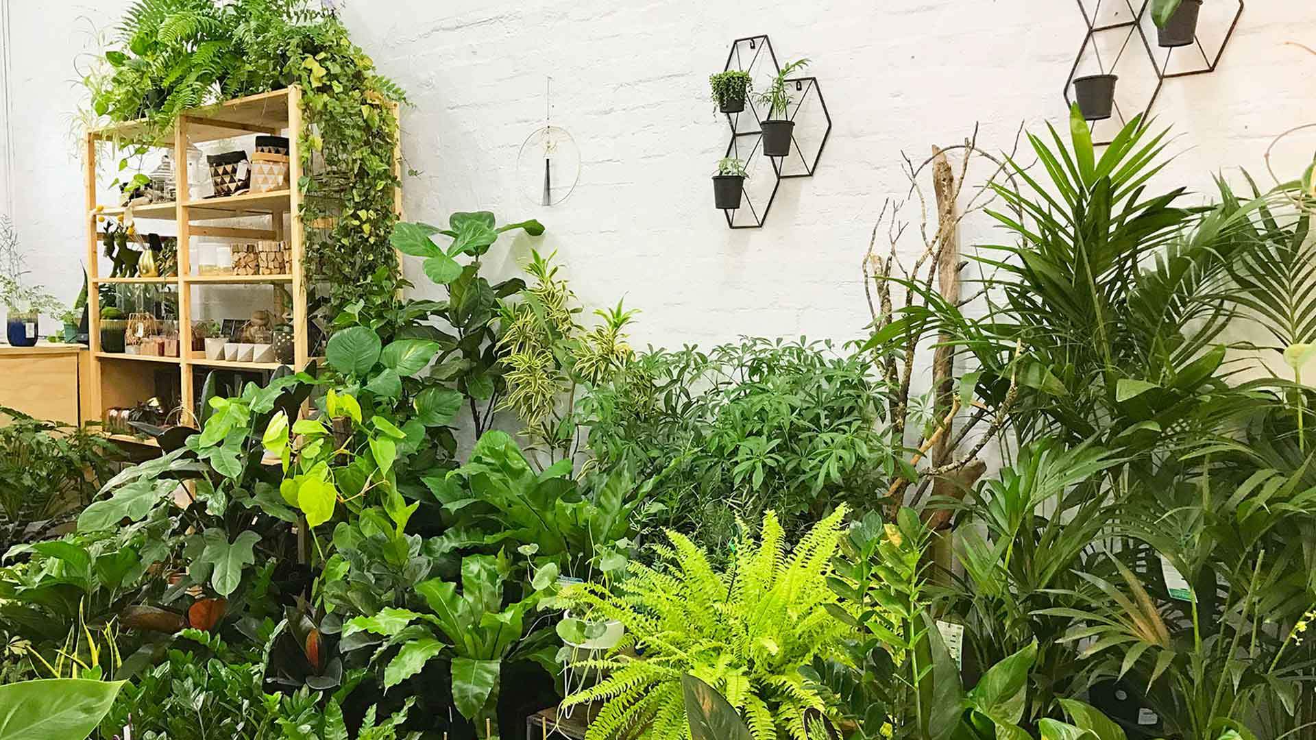 Folia House Concrete Playground