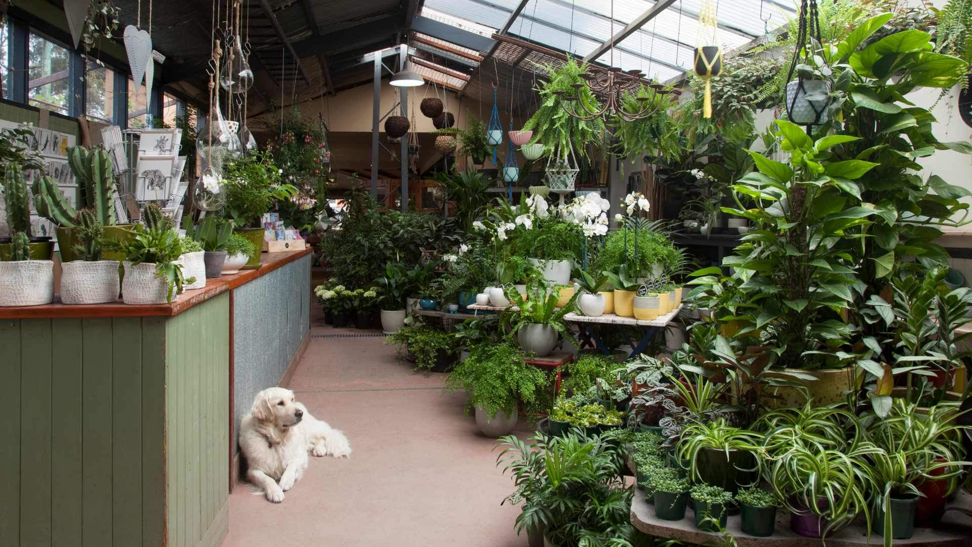 The Garden of Eden Nursery Concrete Playground