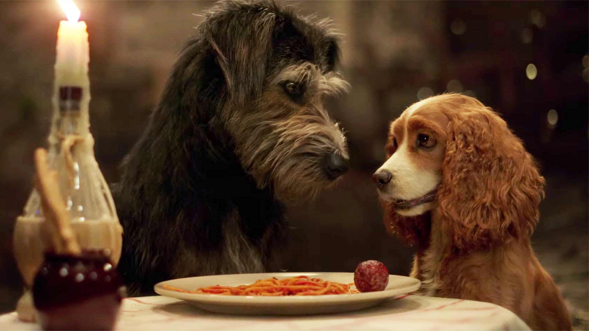 The Adorable Trailer for Disney's Live-Action 'Lady and the Tramp' Remake Is Here
