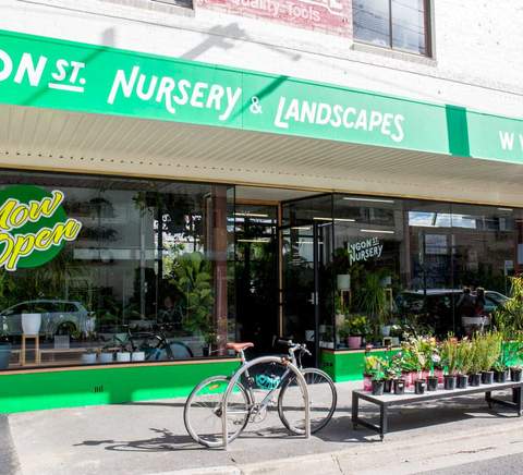 Lygon St Nursery