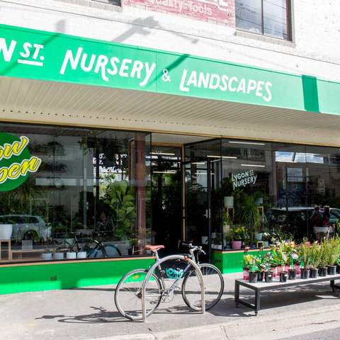 Lygon St Nursery