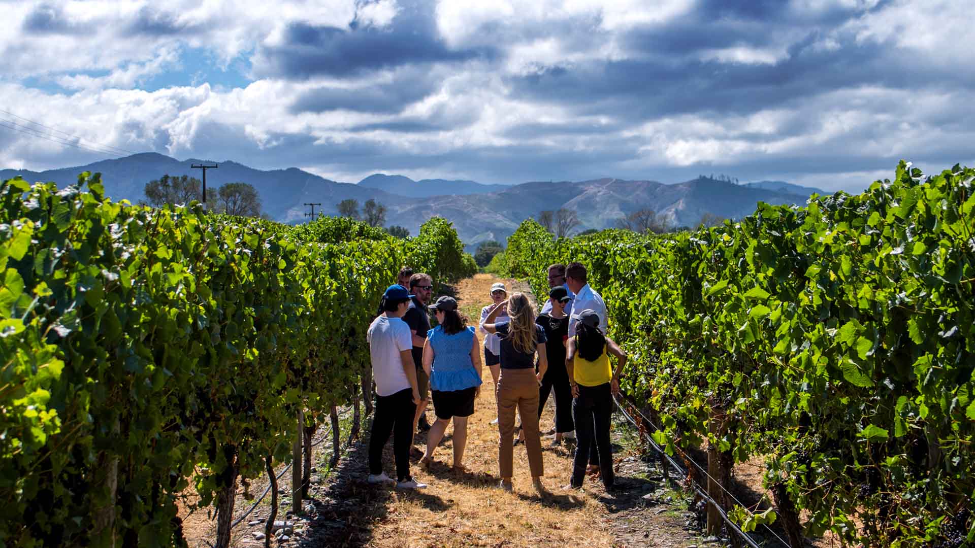 South Island Region Marlborough Has Just Been Dubbed One of the Most Welcoming Spots in the World