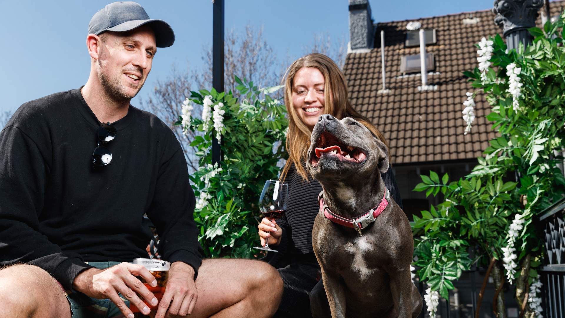 Splendour in the Dog House, Sydney