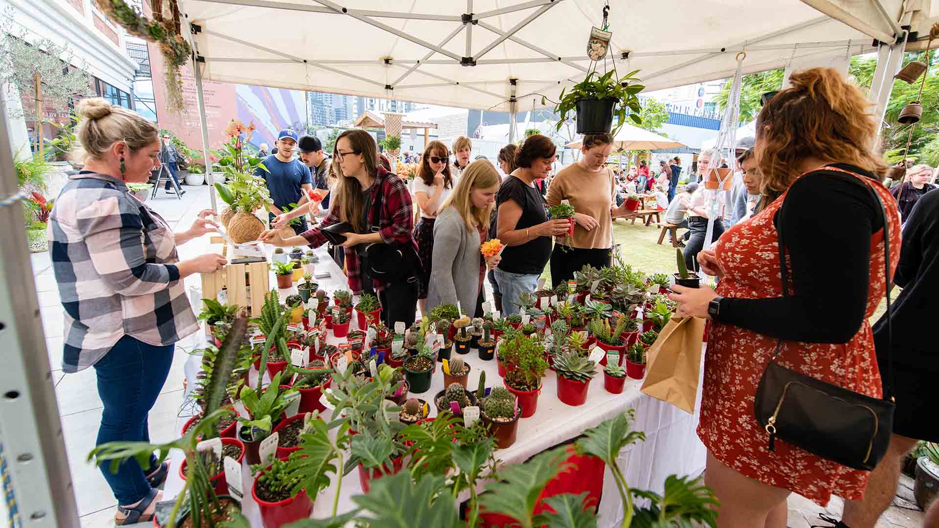 The Plant Market