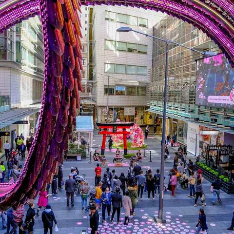 World Square's Cherry Blossom Festival