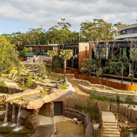 Taronga Zoo accommodations - one of the best hotels in Sydney.