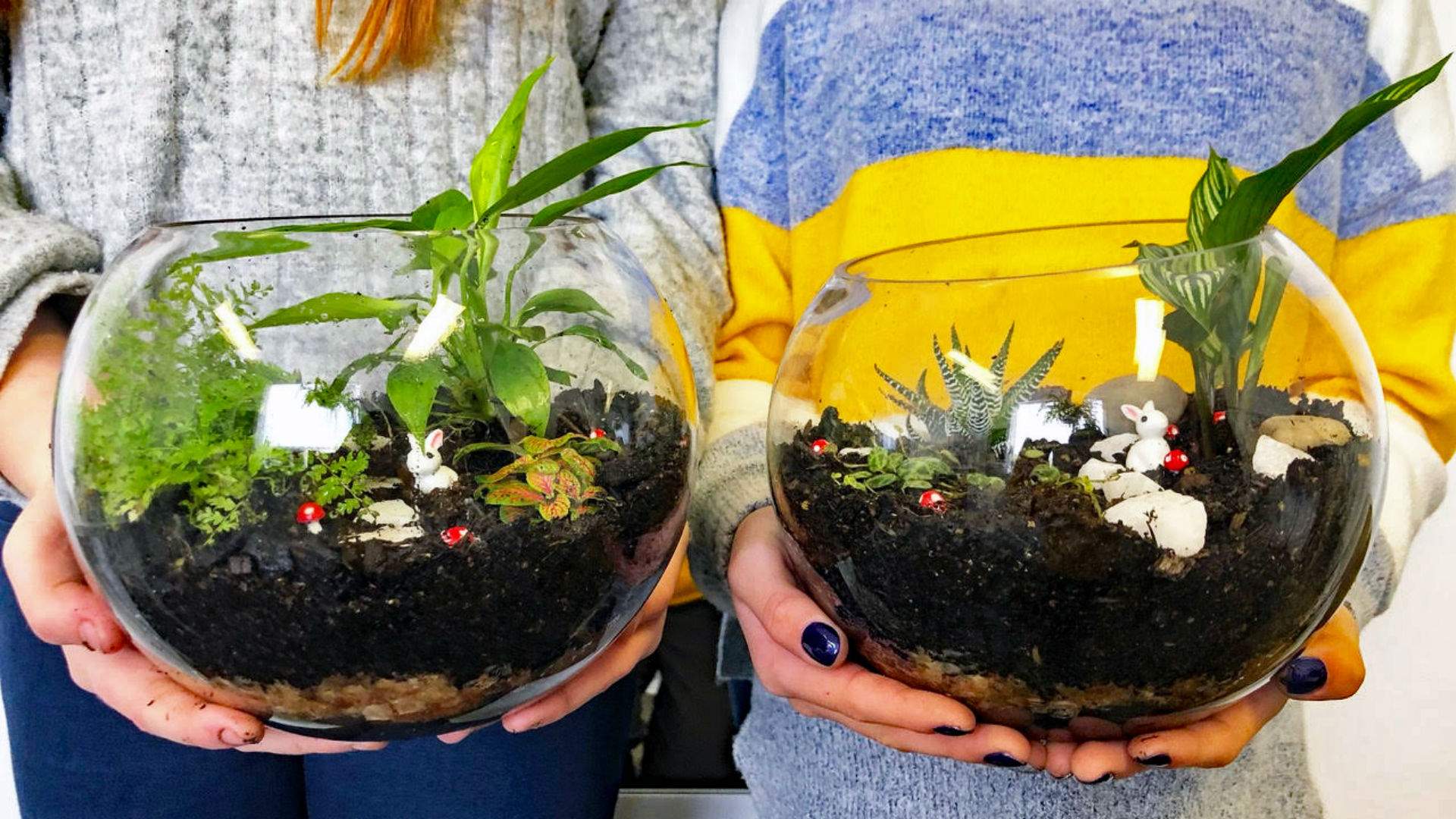 Tipsy Terrarium Melbourne