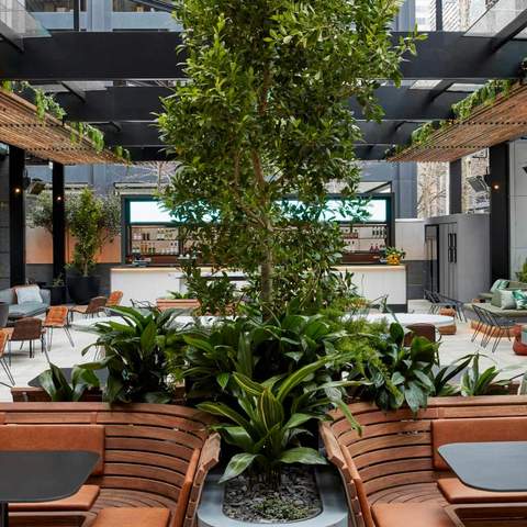 Bourke Street Green Is the CBD's New Greenhouse-Inspired Bar Perfect for Post-Work Drinks