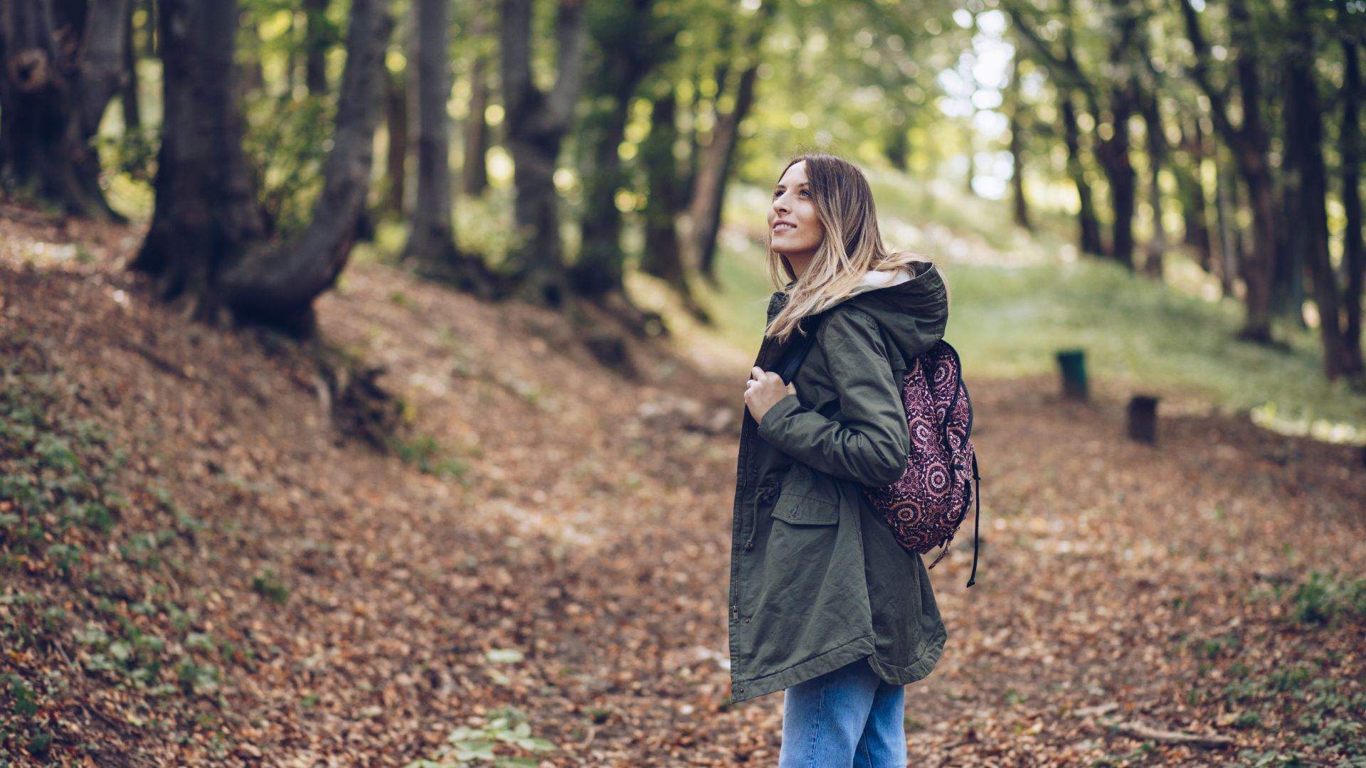 Festival of Short Walks